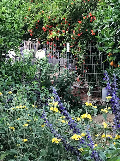 Tiny Farm Cottage in Davis