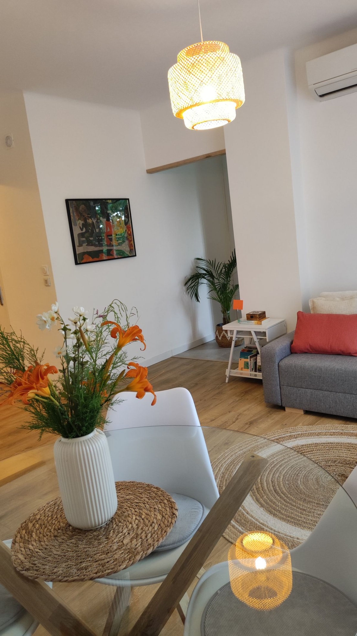 Proprietà Airbnb di successo: Place Catalogne Apartment a Perpignan