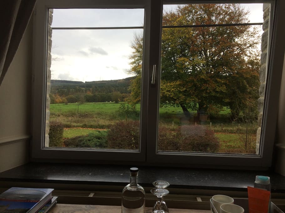 Vue de la chambre