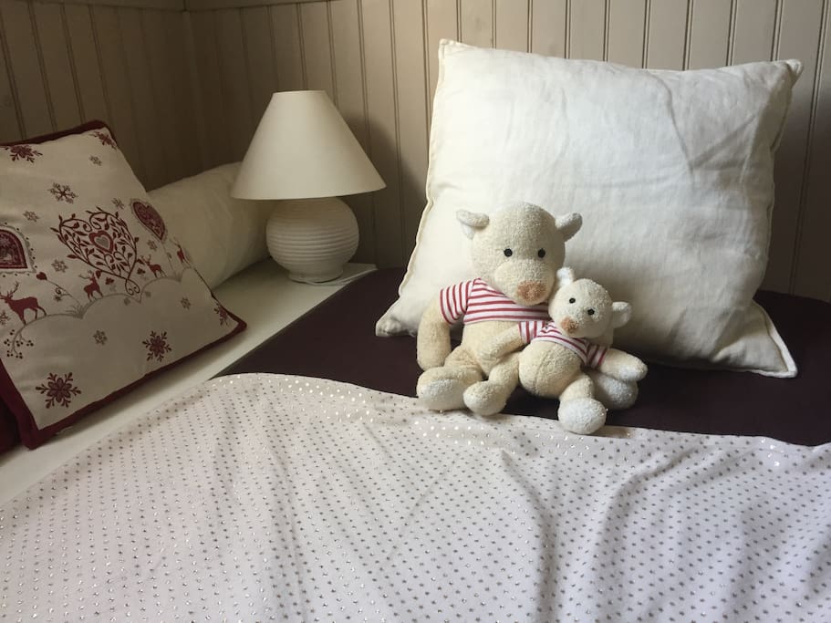 chambre 1 avec salle de douche