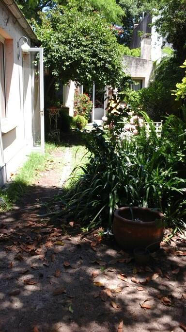 View from the house to the garden