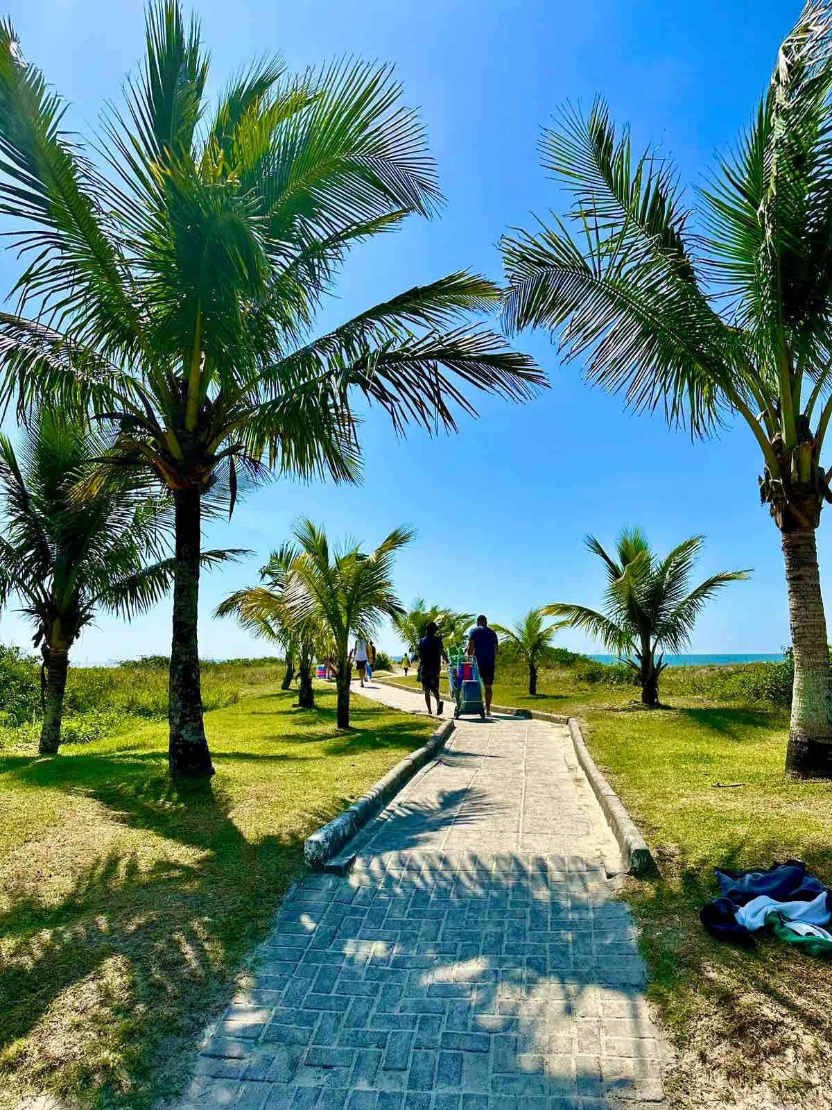 A pathway lined with palm trees leads towards the beach, under a clear blue sky. Two individuals can be seen walking along the paved path, surrounded by lush greenery. The gentle curves of the landscape guide visitors towards the ocean.