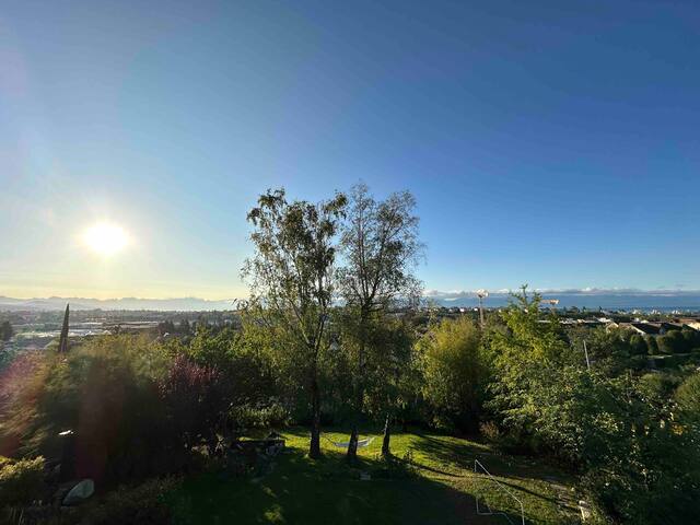 Luxury modern family home with exceptional garden gallery image 4