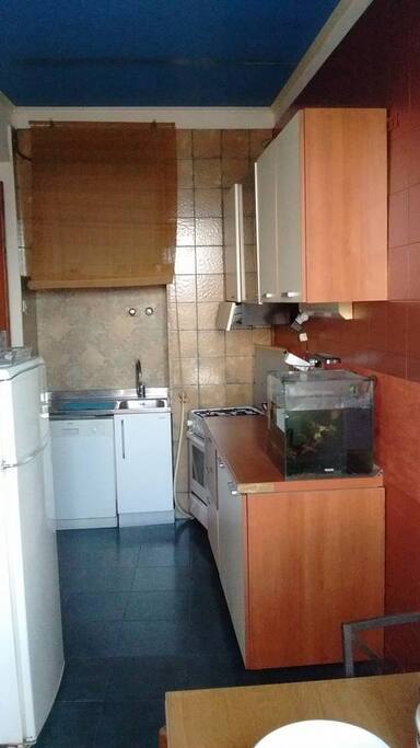 cucina (condivisa con eventuali altri ospiti) fornita di frigo forno fuochi ...