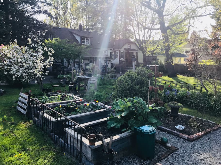 We have a large yard and garden