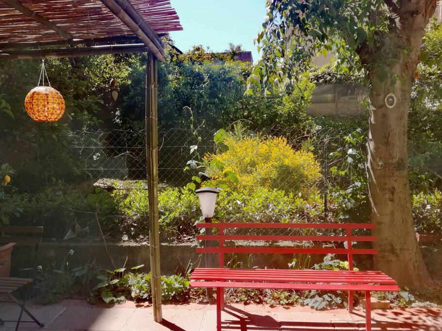 The Garden