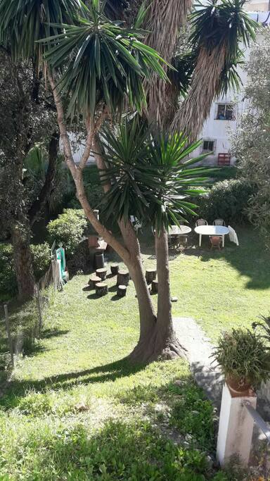 Vistas desde la terraza