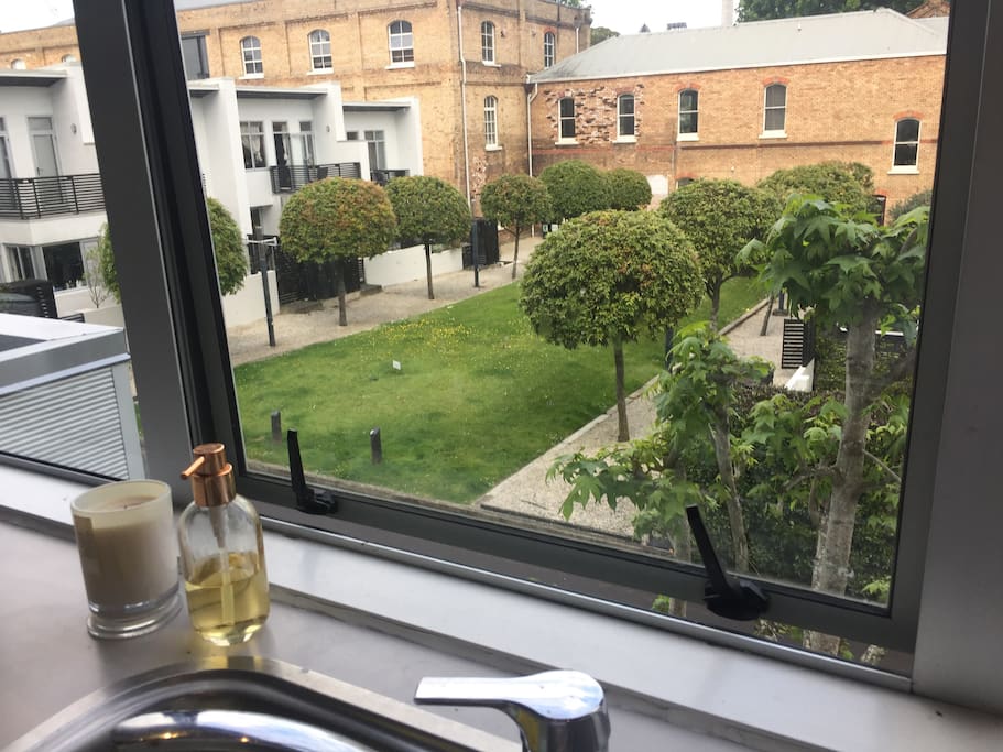 View from kitchen