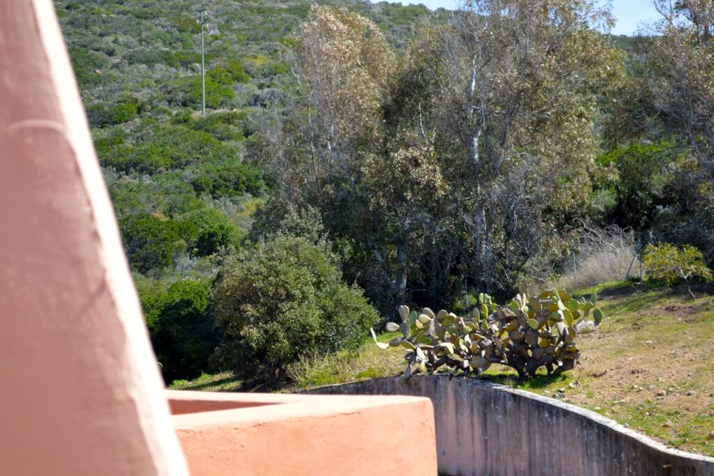 Wild Landscapes Surround The Cottage Terrace