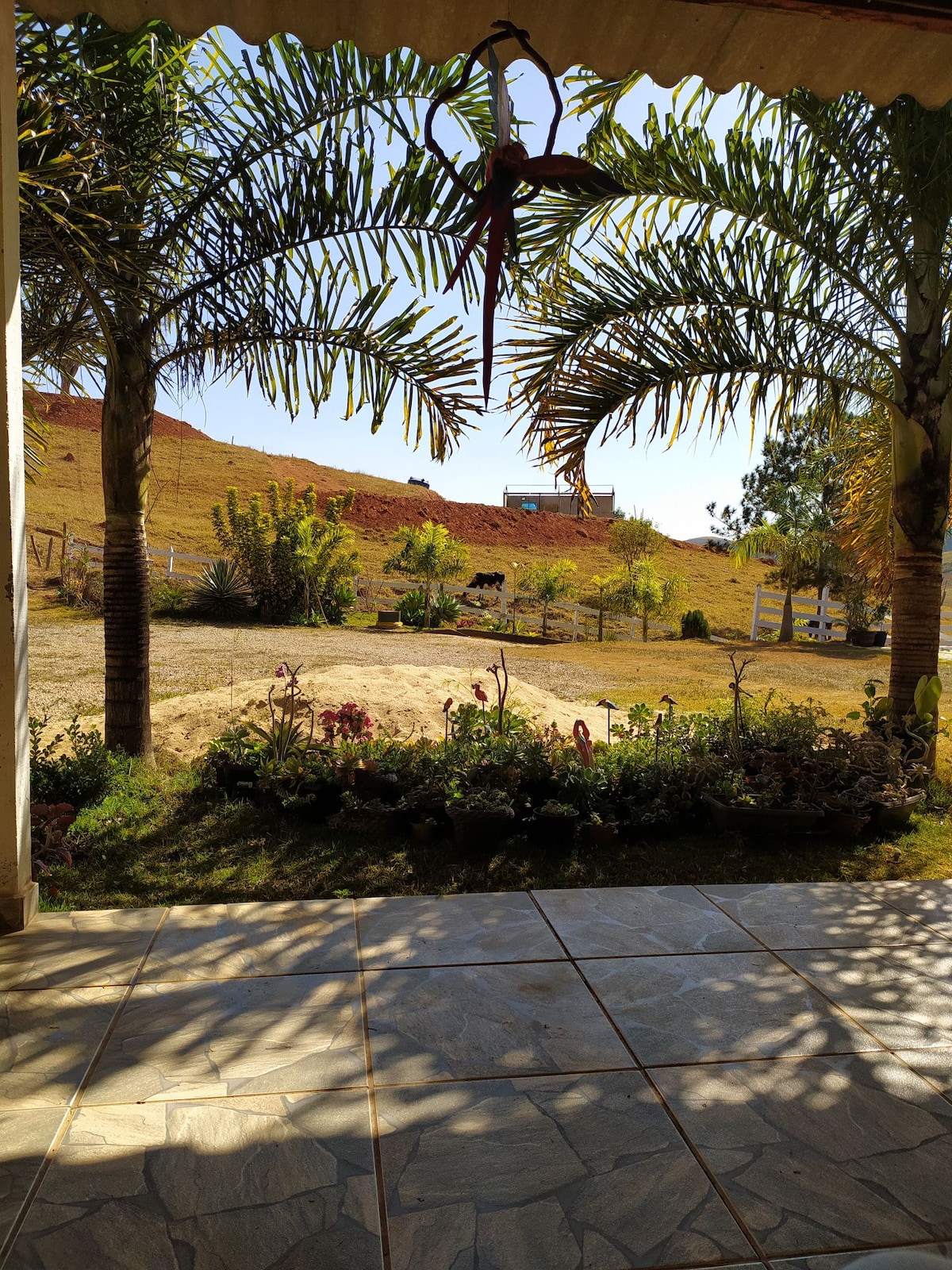 The view from the porch includes a garden adorned with various plants and flowers, framed by two palm trees. In the background, a gently sloping hillside is visible, dotted with greenery and a cow grazing peacefully.