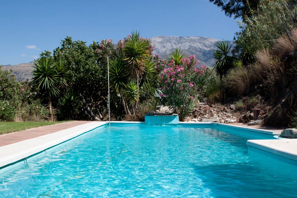 The pool area
