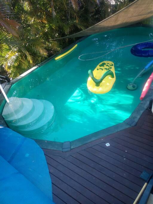 Pool surrounded by bamboo,