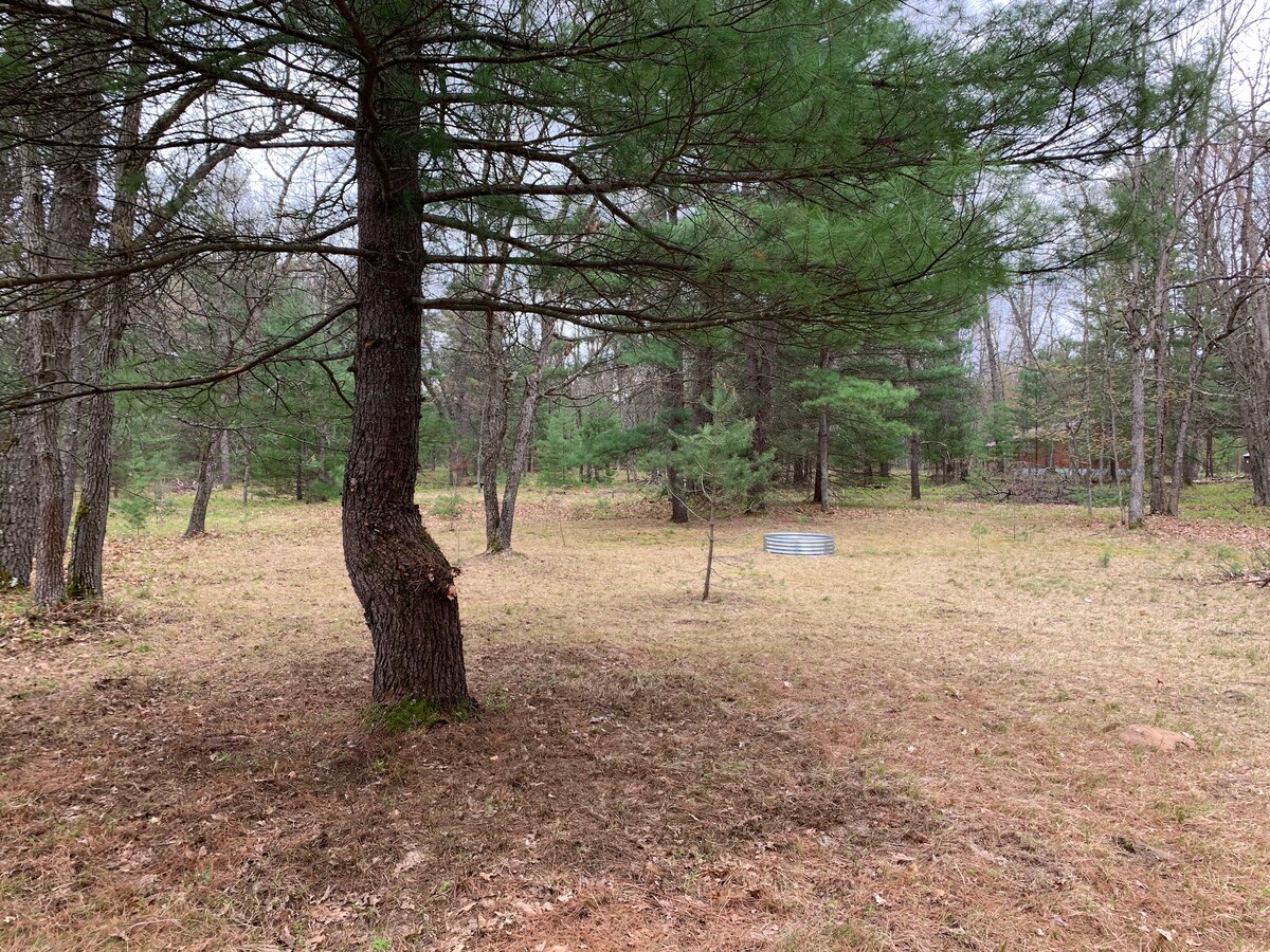 A serene campsite is surrounded by tall trees, providing a natural setting. The grassy area features a mix of scattered pine and other trees, while a fire pit is positioned in the background. The ground is covered with pine needles and soft earth, creating an earthy atmosphere.