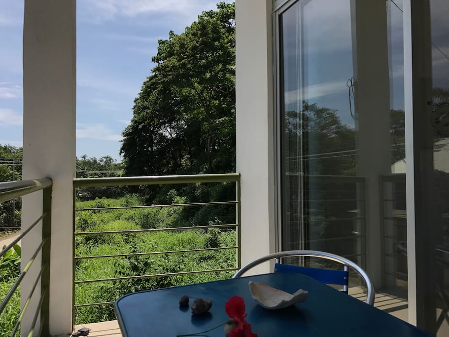 Your terrace, the jungle is everywhere.