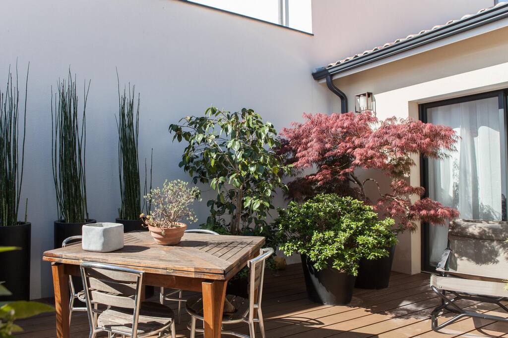 Patio paysagé