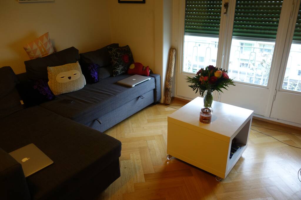 Living room with sofa bed.