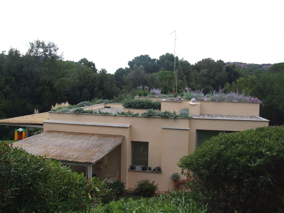 The house is very intimate