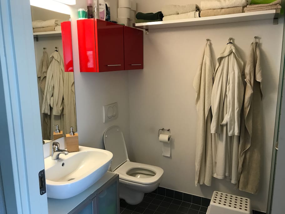 Badeværelse med bruseniche. Vaskesøjle bag døren.