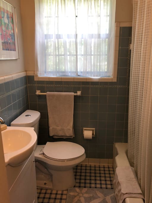 Hall bathroom