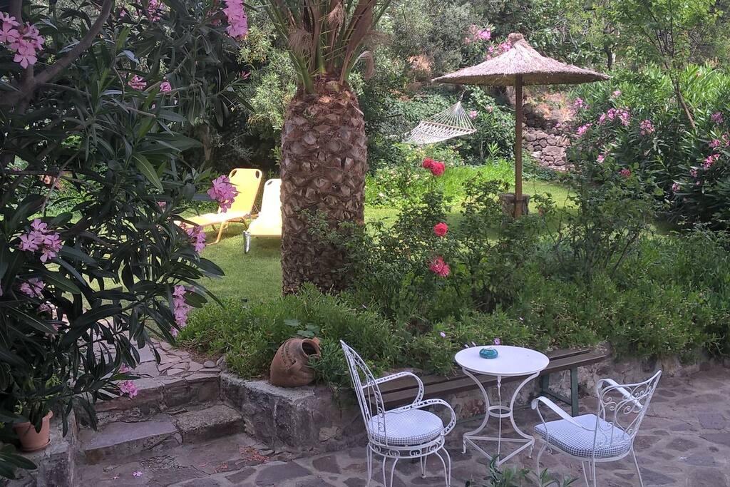 Breakfast in the shade of the garden