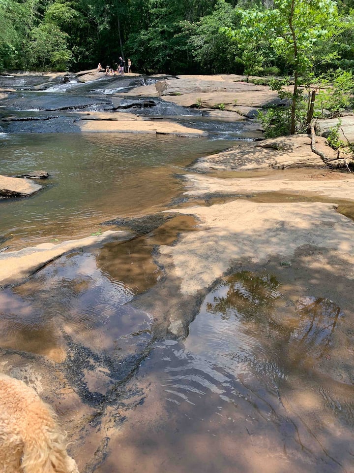 A beautiful one-mile hike on the wooded Wilburn Farm Trail leads to the serene Pole Bridge Creek.