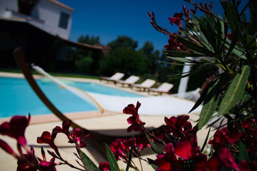 swimming pool area