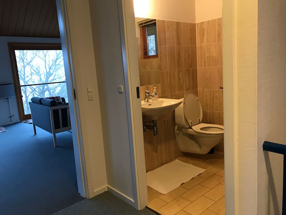 Guest toilet