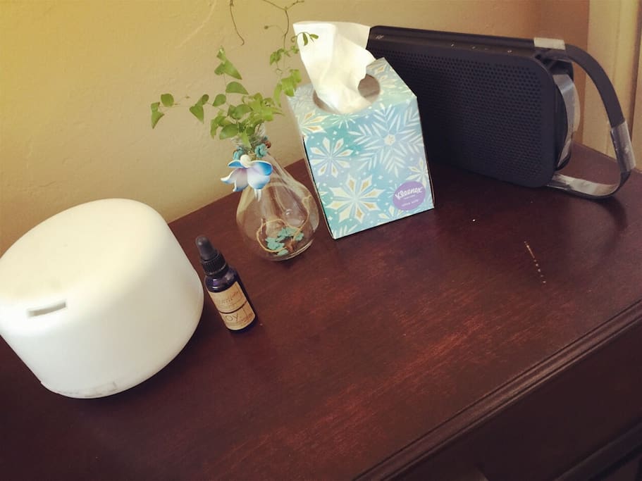 Humidifier attached Lavender Essential oil & Bluetooth speaker