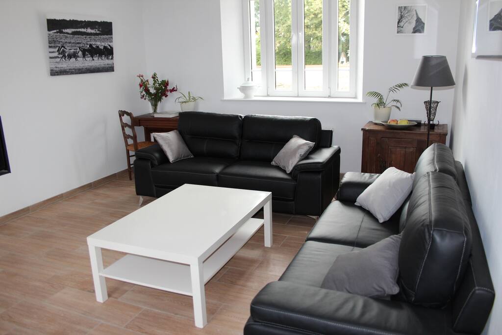 Salon avec insert et Tv