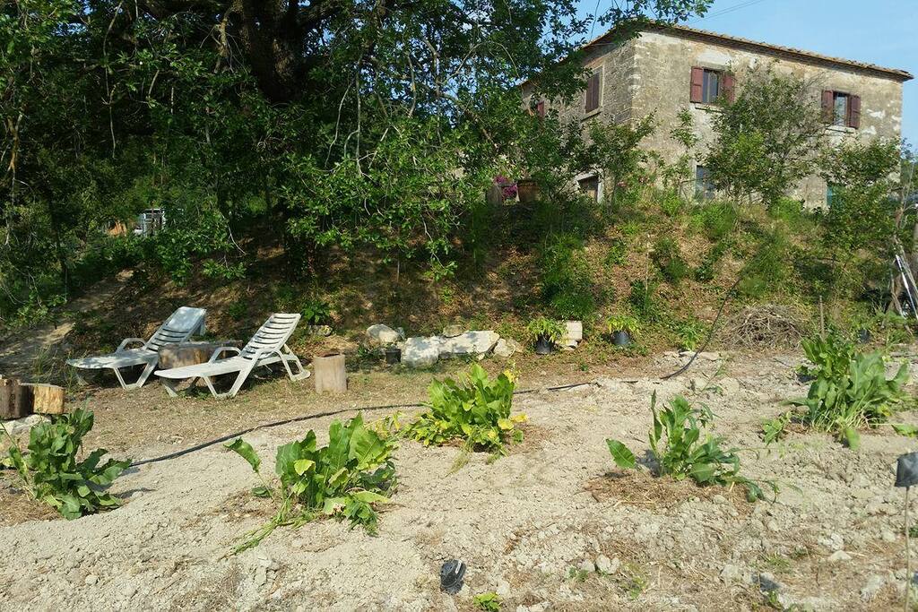A pochi passi da casa la zona relax lettura, l'orto, il nuovo impianto di rafano (Armoraca rusticana) con cui cuciniamo squisite pietanze