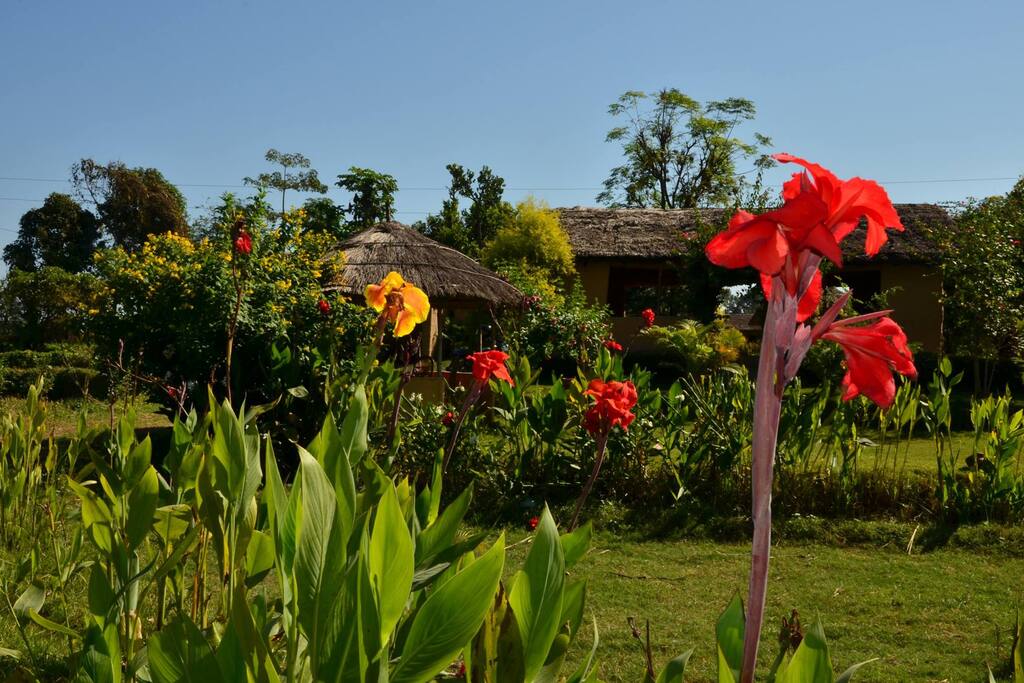 Dinning hall in the garden
