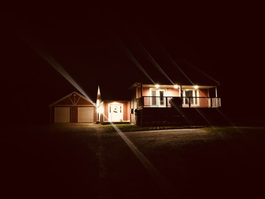 Night Lights