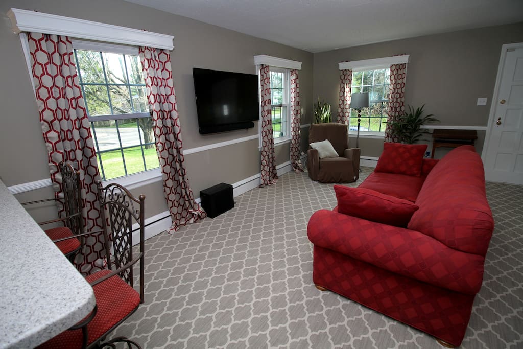Cozy living room with pull out couch