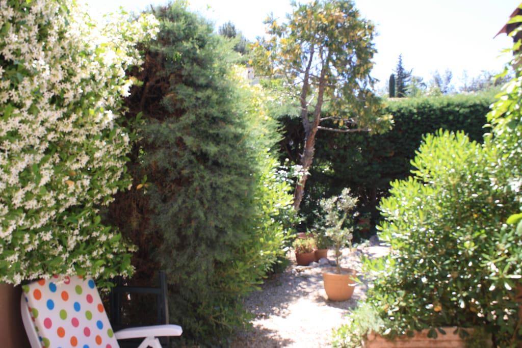 jardin