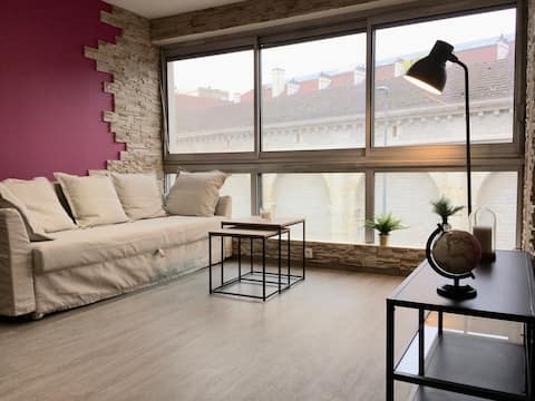 Charmant appartement hyper centre - Darcy 1