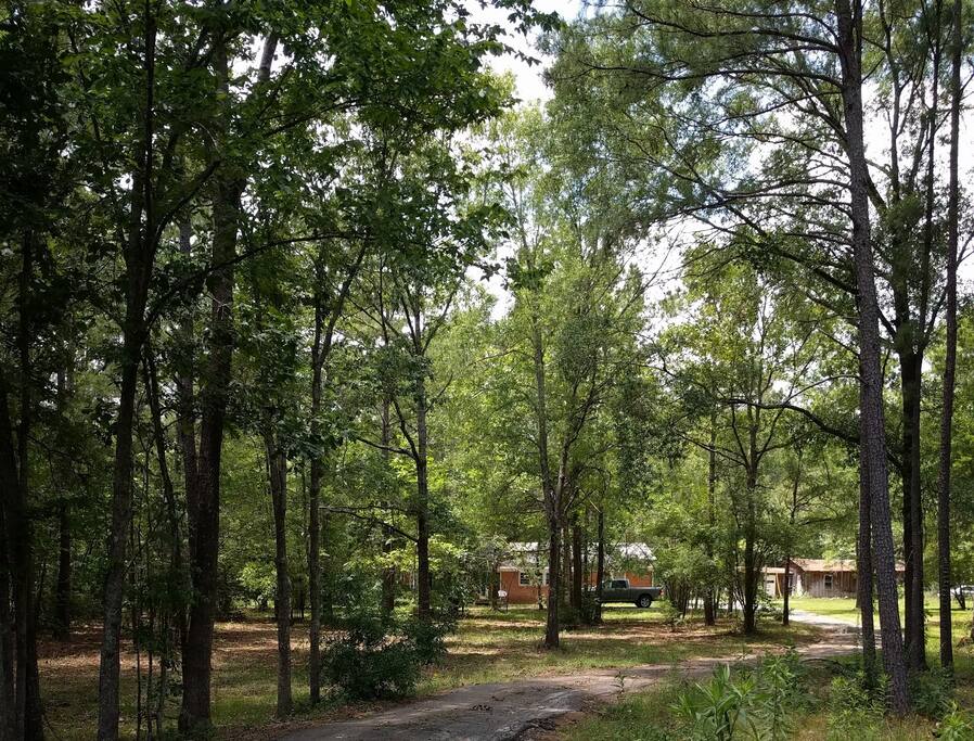 Front of the house from the road. Lots of space for you to relax and enjoy!