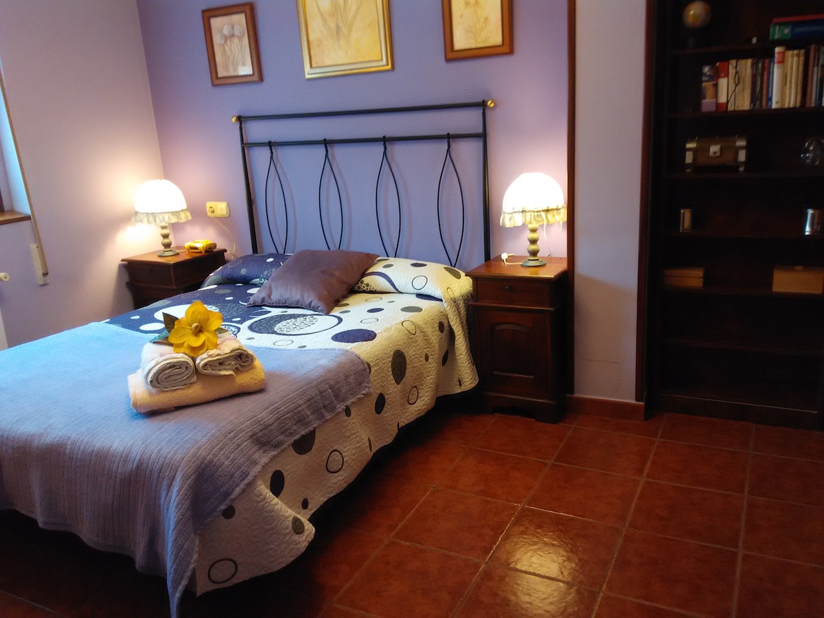 Lilac yenye rangi ya vyumba viwili au vitatu