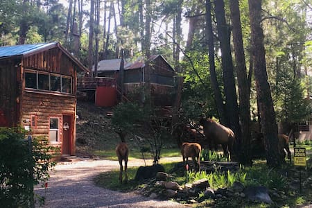 Hootie’s Cabin in the Pines.