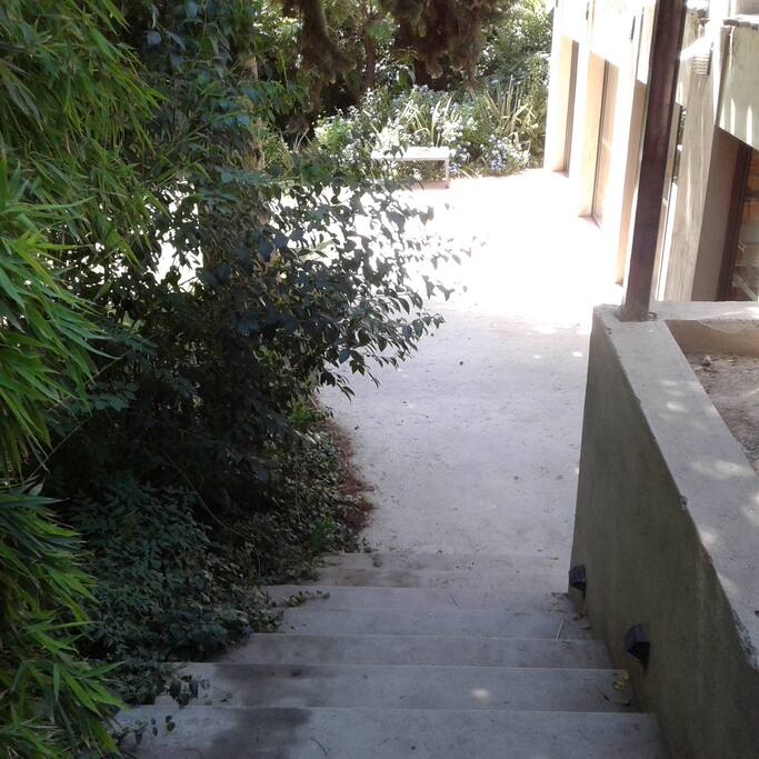 Entrada Principal