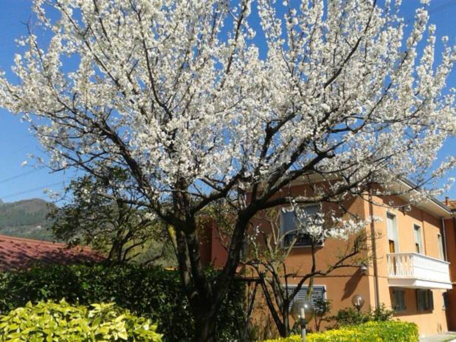 Vista esterna