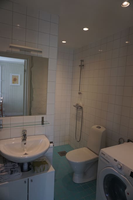 Bathroom; toilet, shower, wachmaschine/dryer