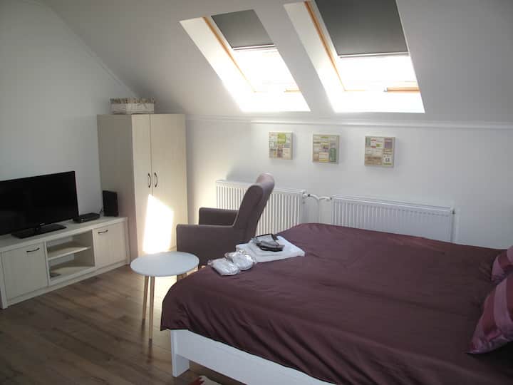Modern Studio In Menrath Palace - City Center - Novi Sad