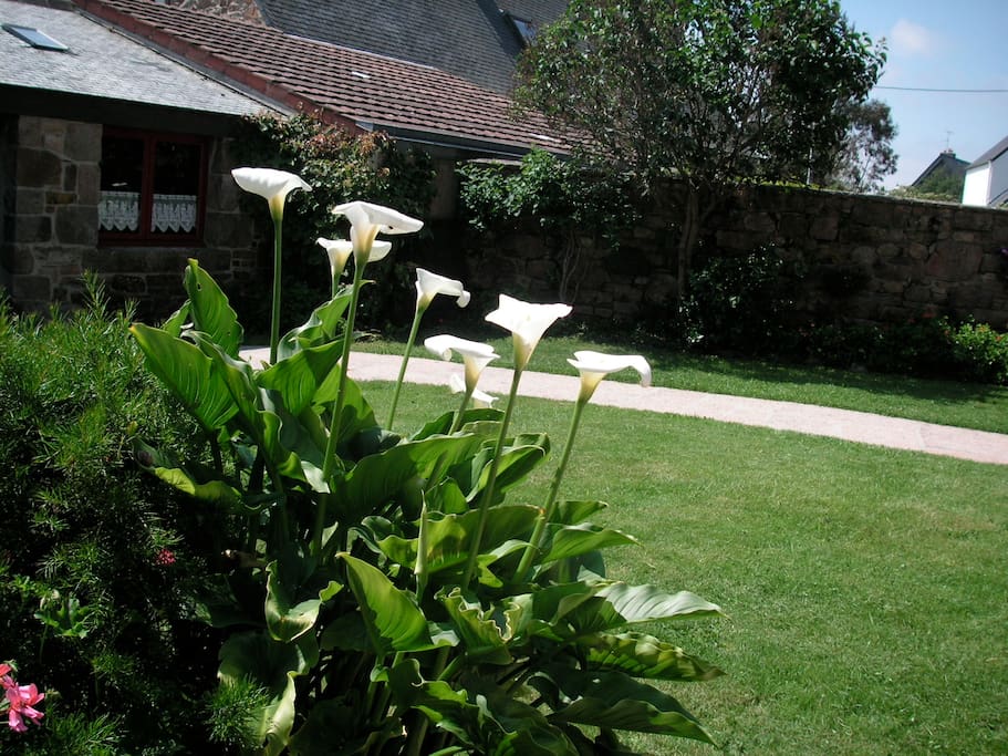 Jardin de 100m2 clos et sécurisé