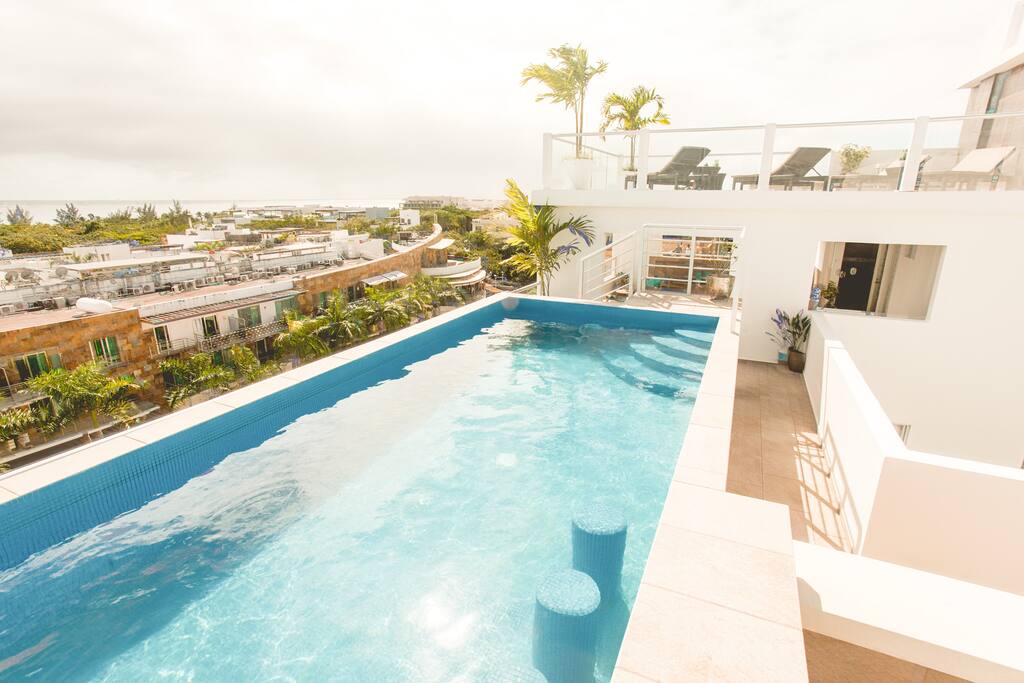 Rooftop Pool.