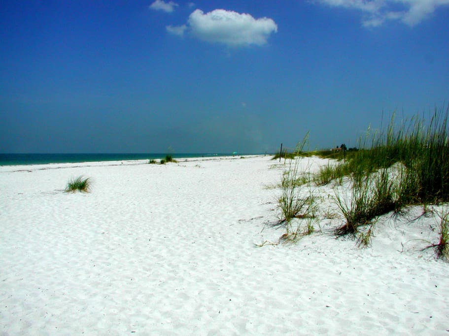 Beach on Gulf of Mexico