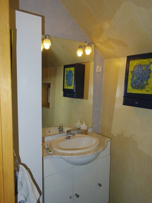 Une salle de bain conviviale comprenant un lavabo et une douche.