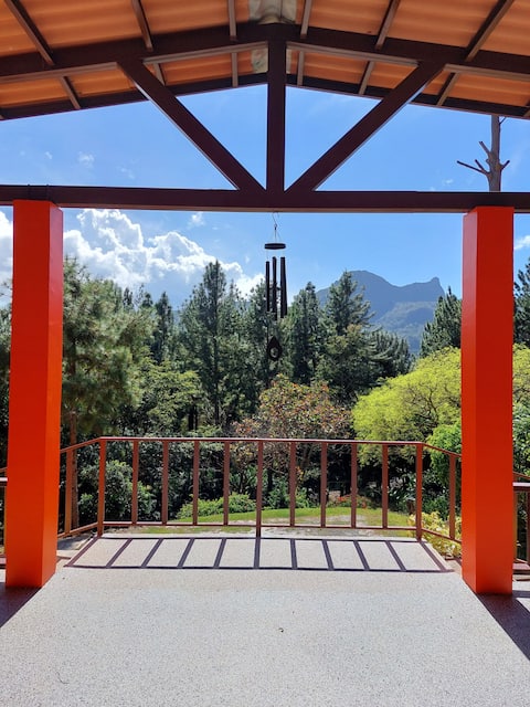 Enjoy the view of Mount Picacho