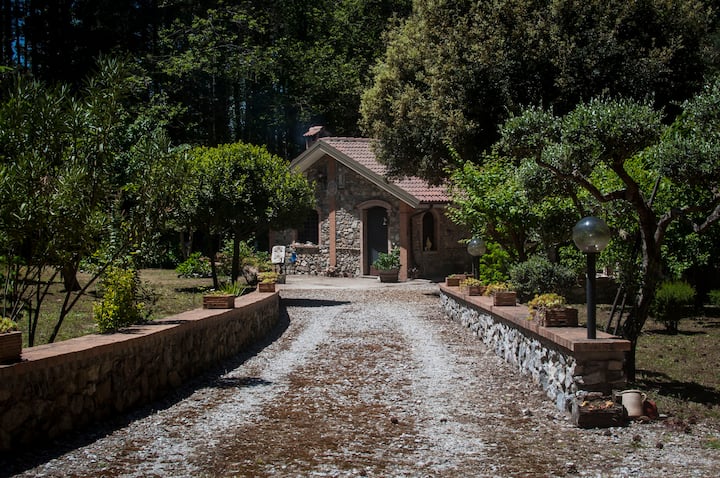 Polia Vacation Rentals & Homes - Calabria, Italy | Airbnb