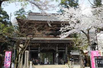 A traditional temple structure is framed by blooming cherry blossoms, creating a serene atmosphere. The building features intricate wooden carvings and a tiled roof, while steps lead up to the entrance, where statues and lanterns are visible.