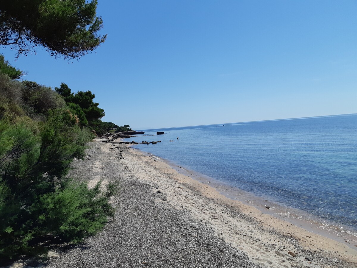 Get Wallpaper Casa sulla spiaggia contemporanea For Free